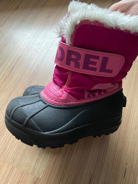 Zimné snehulky, sorel,26