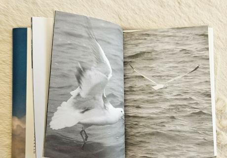 Kniha čajka jonathan livingston, 