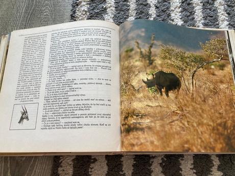 Lev nie je kráľom zvierat-prvé vyd.1981, 