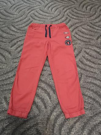 Nohavice, coccodrillo,116