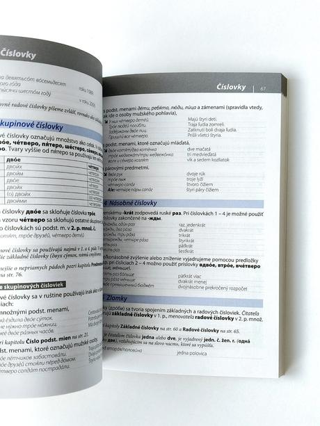 Gramatika súčasnej ruštiny lingea,