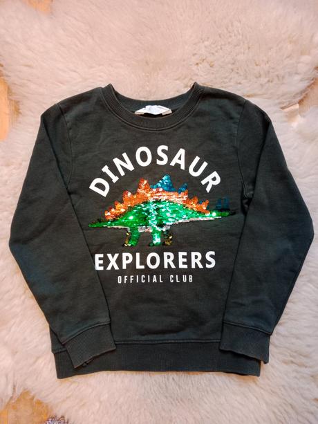 Mikina s dinosaurom, h&m,122