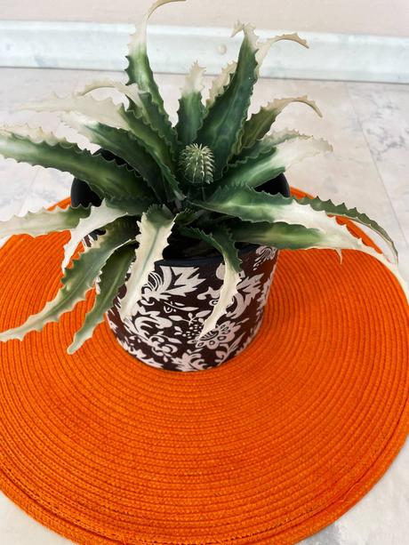 Črepník  so sukulentom, 