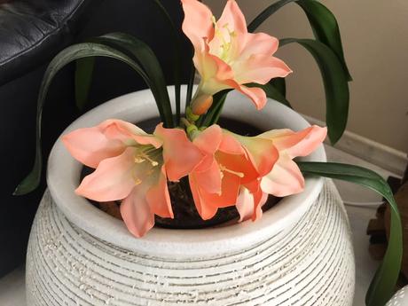 Umelý kvet klívia, 