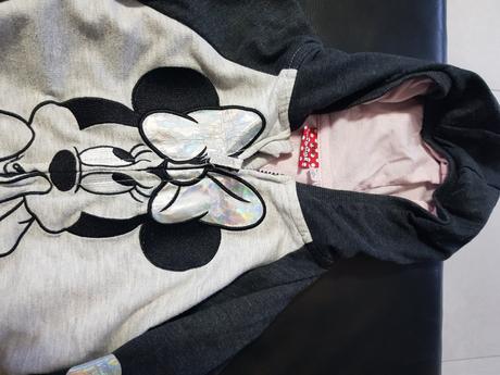 Teplakova suprava, disney,104