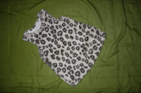 Kozusinkove satocky nutmeg, nutmeg,74