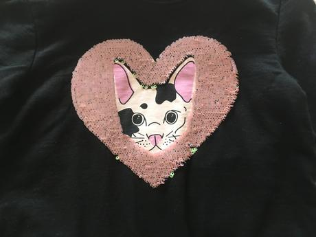 Mikina s premienacim obrazkom, sinsay,128