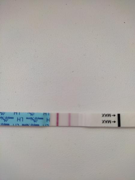 Je tento ovulačný test pozitívny?