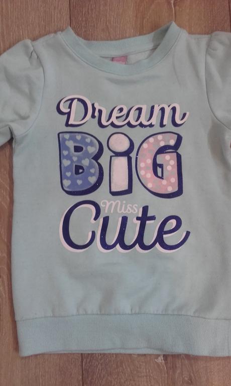 Mikina, dopodopo,110