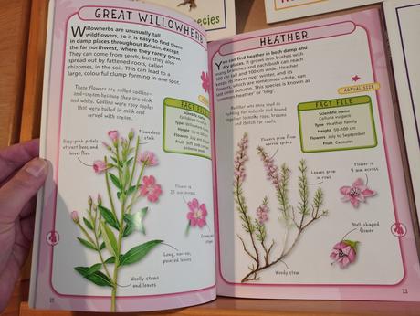 Spot 50 species sada,