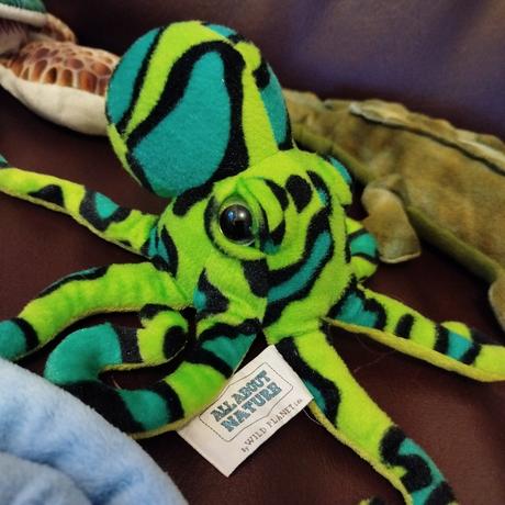 Plyšové morské živočíchy 6ks,