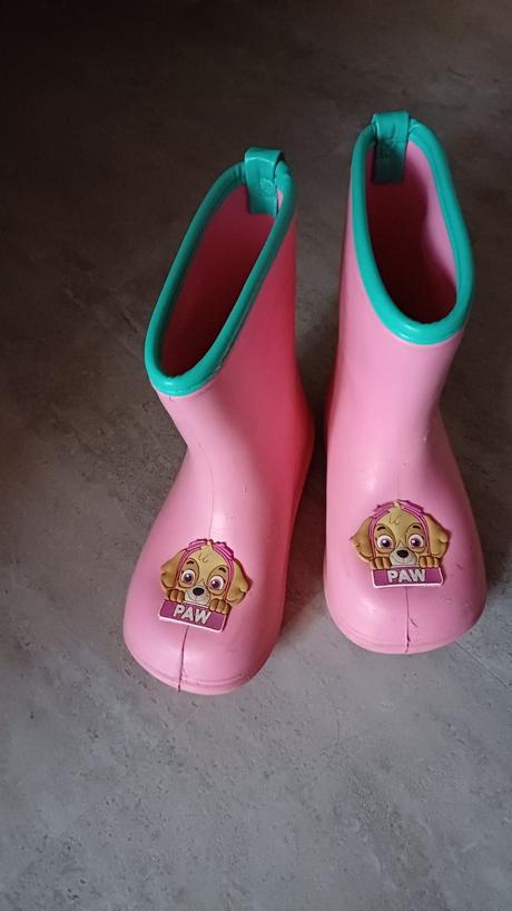 Gumaky paw patrol sky, disney,29