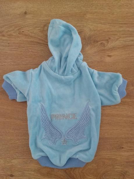 Oblečenie pre psíka, 