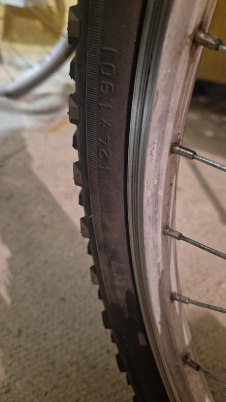 Kellys alpina rockstar 10 24", kellys,24