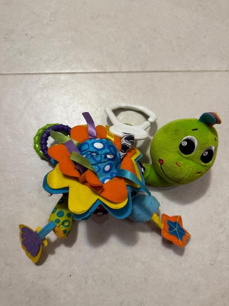 Korytnačka playgro,