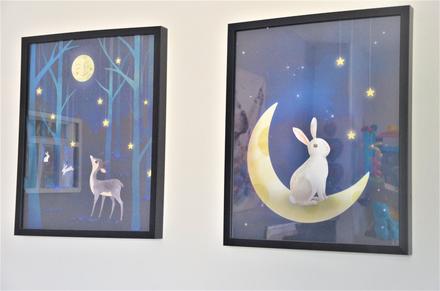 2x fotorám/obraz-53x42cm,