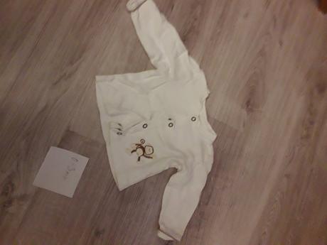 Sveter s opičkou, 62