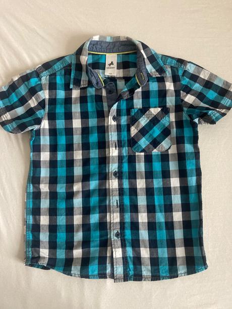 Kosela, palomino,128