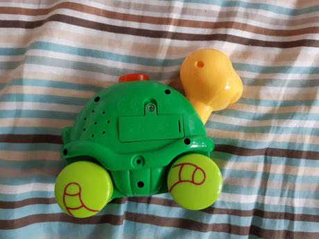 Korytnacka na kolieskach,