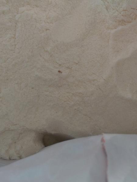 Chrobáčiky v múke