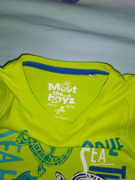 Tielko, palomino,116