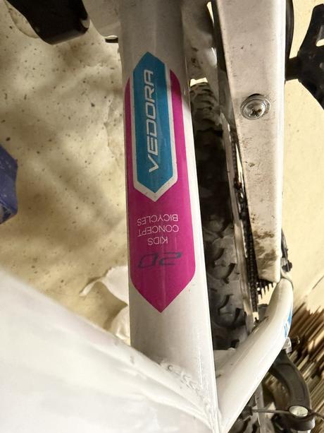 Detsky bicykel vedora, 20