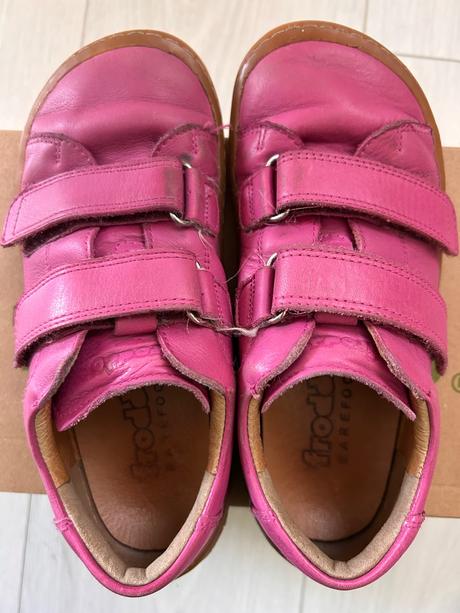 Froddo fuchsia, froddo,31