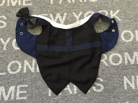 Pes, sviatocne oblecenie s motylikom s,