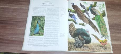 Wildlife of the world, 