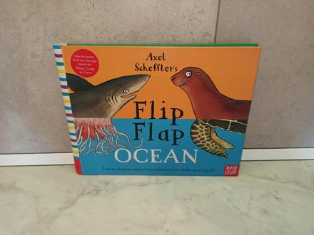 Alex scheffler's - flip - flap ocean,