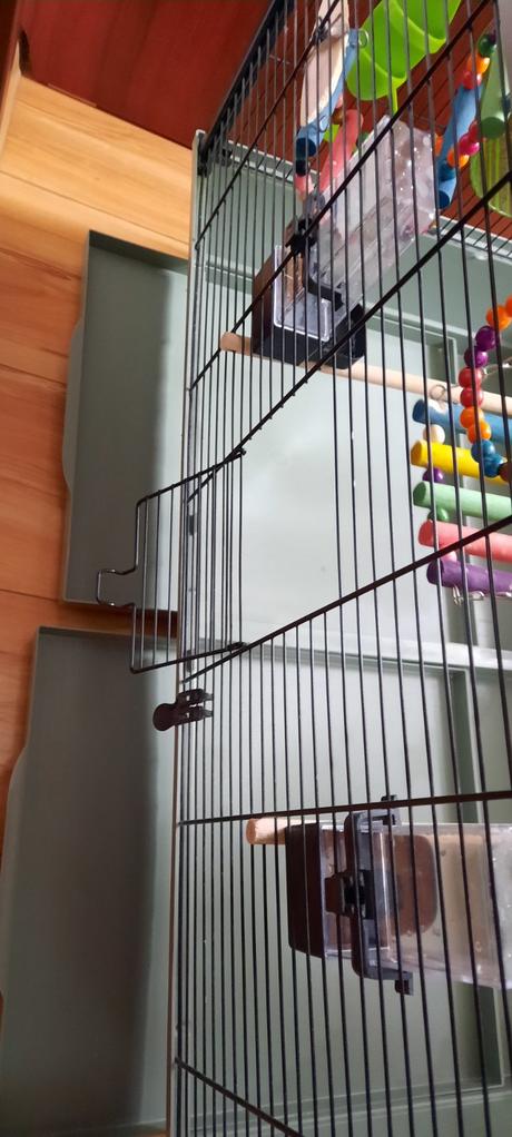 Klietka pre vtaciky, 