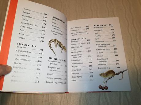 Mk junior picture dictionary nea20, 