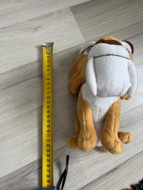 Diego z doby ľadovej, 