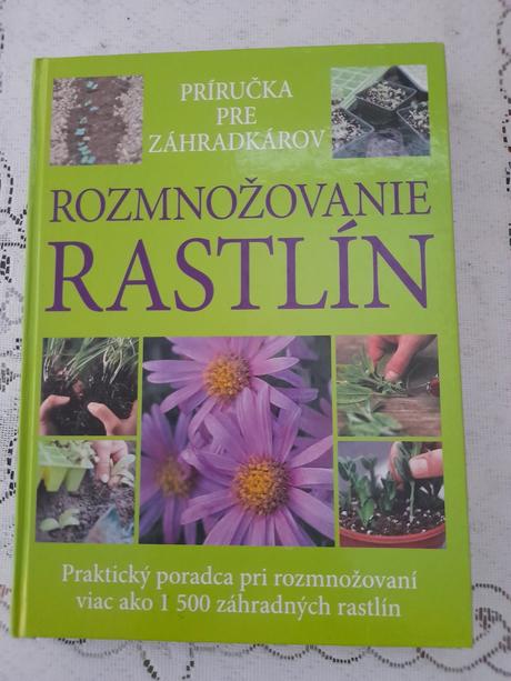 Kniha, 