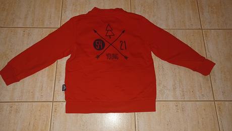 Mikina coccodrillo, coccodrillo,104