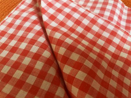 Kockovaná plátenná pirátka, 