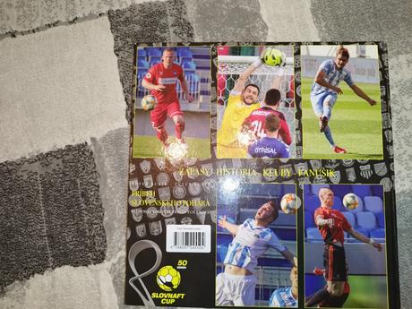 Príbeh slovenského pohára, 