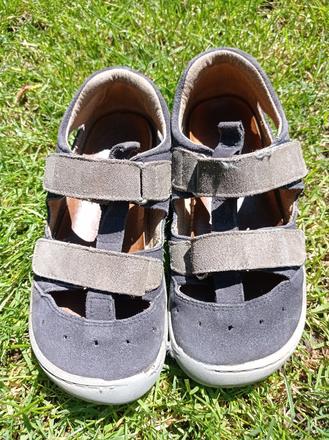 Filii kaiman ocean/grey vel. 29m, filii,29