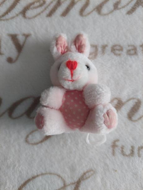 - malý plyšový zajačik,