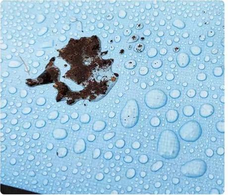 Podložka na presádzanie rastlín, 