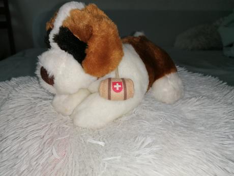 Plyšový psík bernardín, 