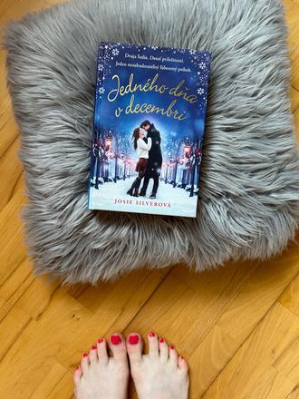 Kniha jedného dňa v decembri - josie silverová,