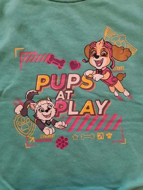 Labkova patrola suprava, nickelodeon,110