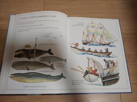 Kniha biela veľryba, 