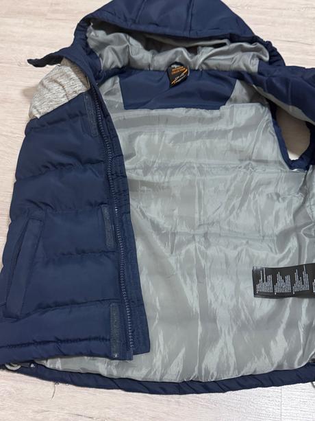 Hrubsia vesta head, 134