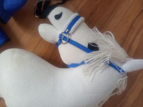 Hobby horse,