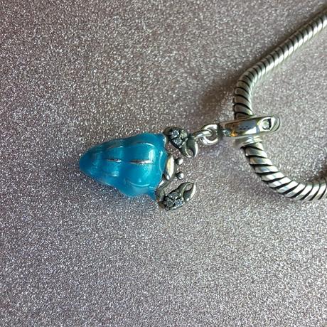 Krab pustovník modrý, 