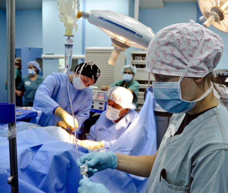 Sterilizácia