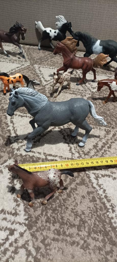 Sada konikov, 