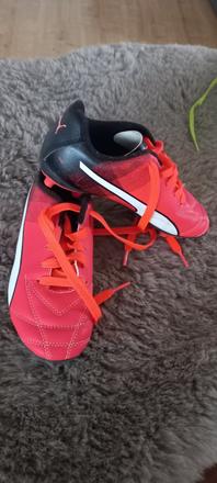 Kopacky, puma,32